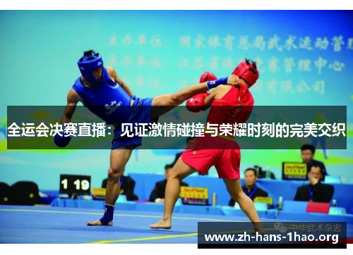 全运会决赛直播：见证激情碰撞与荣耀时刻的完美交织