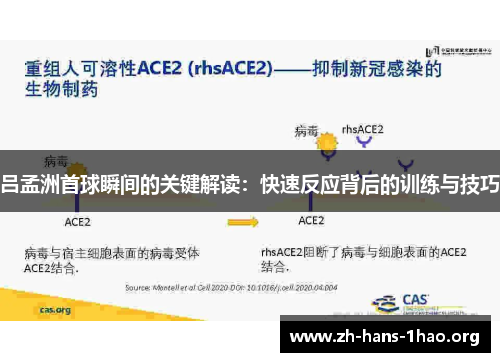 吕孟洲首球瞬间的关键解读：快速反应背后的训练与技巧