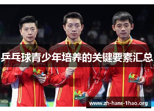 乒乓球青少年培养的关键要素汇总