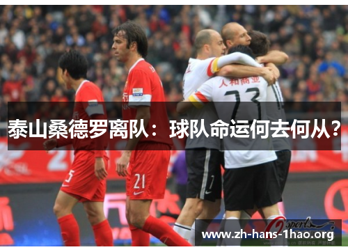 泰山桑德罗离队：球队命运何去何从？