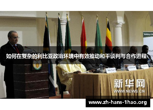 如何在复杂的利比亚政治环境中有效推动和平谈判与合作进程