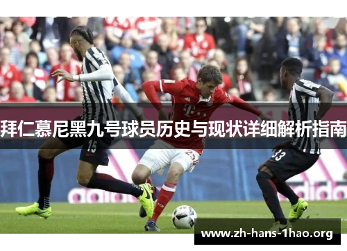 拜仁慕尼黑九号球员历史与现状详细解析指南