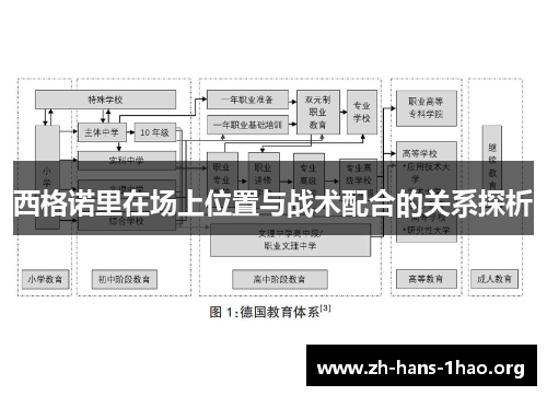 西格诺里在场上位置与战术配合的关系探析